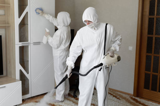 Certified Mold Removal in Meridian Hills, IN